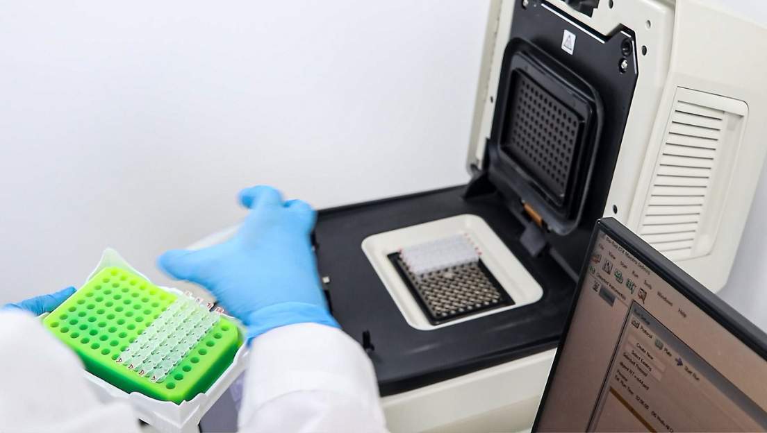 Diagnóstico por PCR-Multiplex